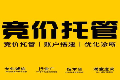 行业领先企业的百度广告推广费用揭秘